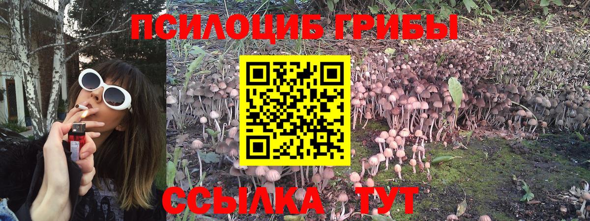 Галлюциногенные грибы Magic Shrooms  Галлюциногенные грибы Psilocybine cubensis  Улан-Удэ  продажа наркотиков  Вход с VPN 
