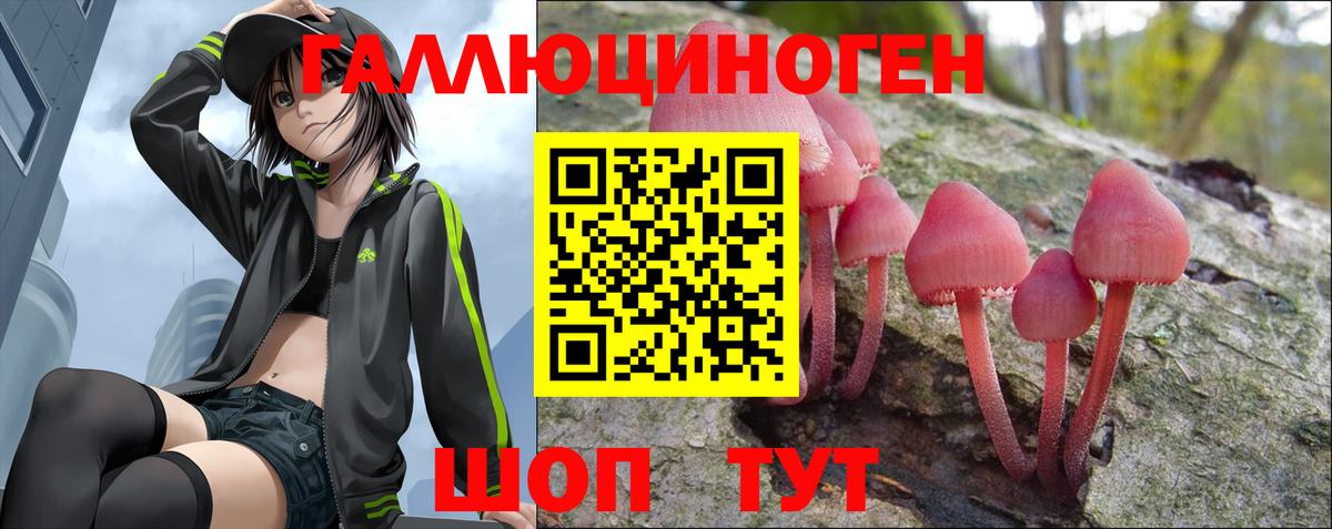 Псилоцибиновые грибы Psilocybe Улан-Удэ